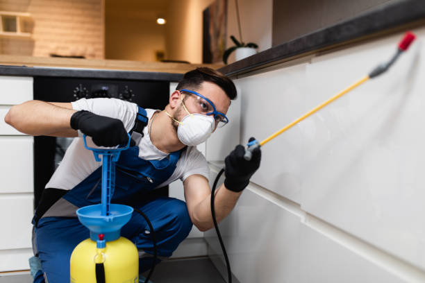 Best Wildlife Control Services  in Whitney, NV