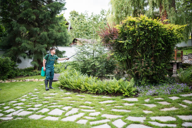 Best Pest Inspection Near Me  in Whitney, NV