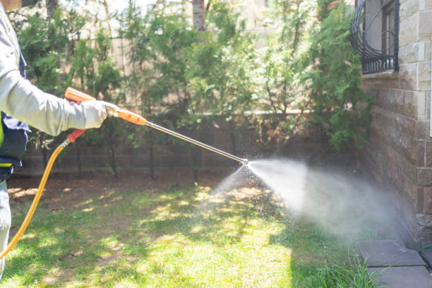 Flea Control Services in Whitney, NV