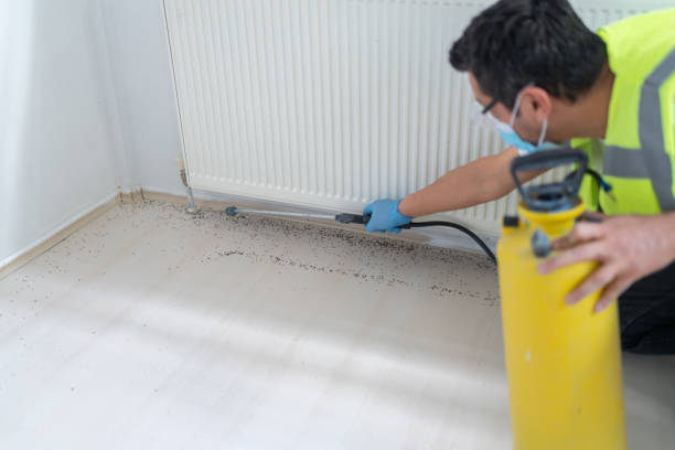 Best Best Pest Control Companies  in Whitney, NV
