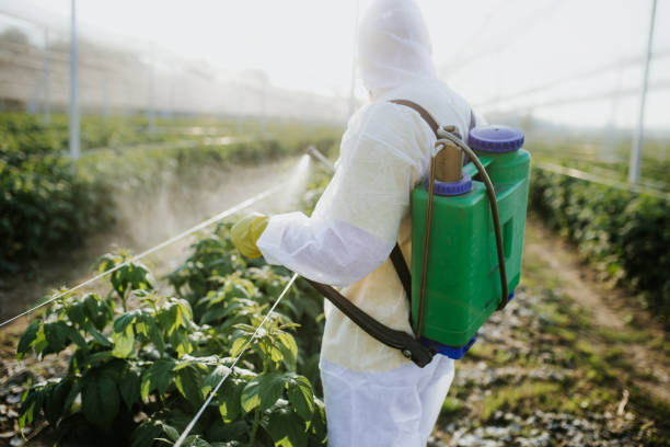 Best Wildlife Control Services  in Whitney, NV